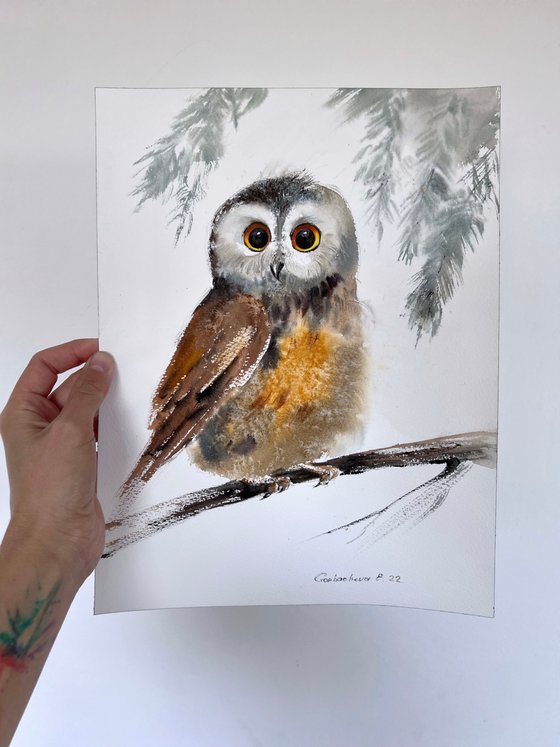 Little owl on a branch #8