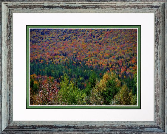 Kancamagus Highway One