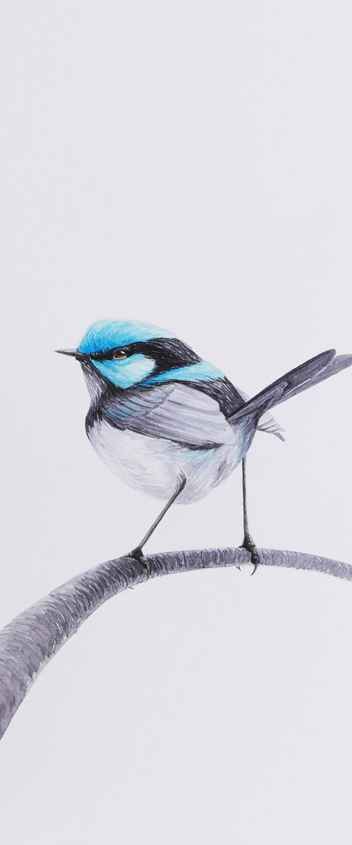 Inspired bird by Karina Danylchuk