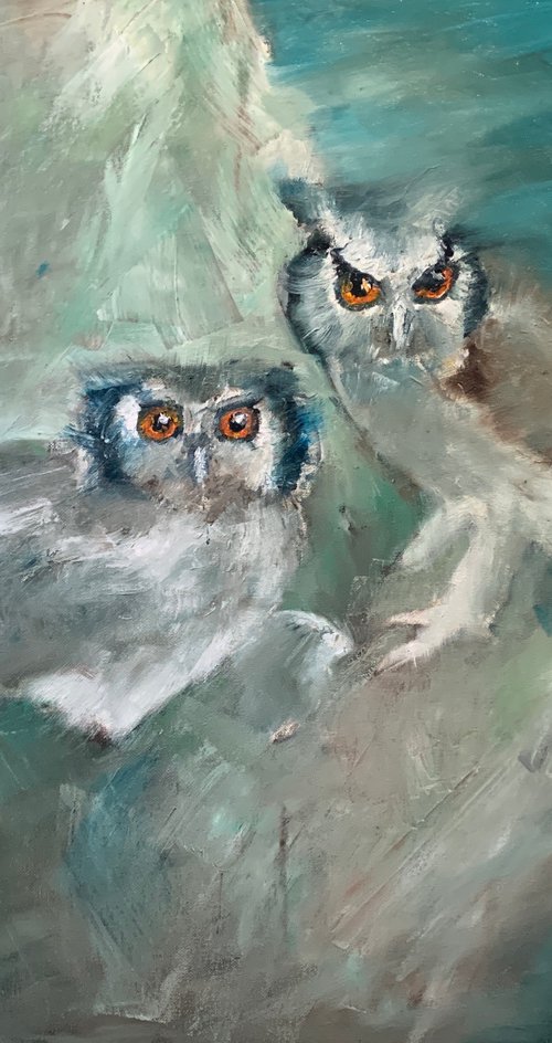 Two Owls And A Baby by Ryan  Louder