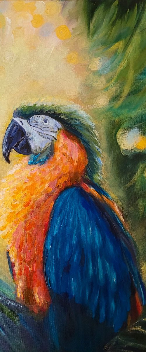 Parrot by Natalia Kameneva
