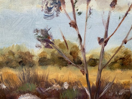 Whispers of Summer