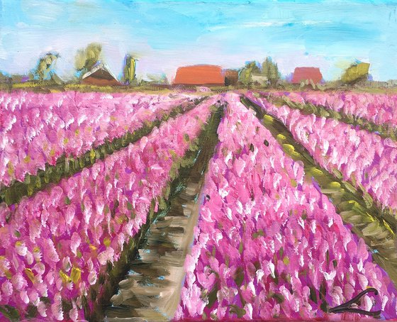 Tulip fields 2025