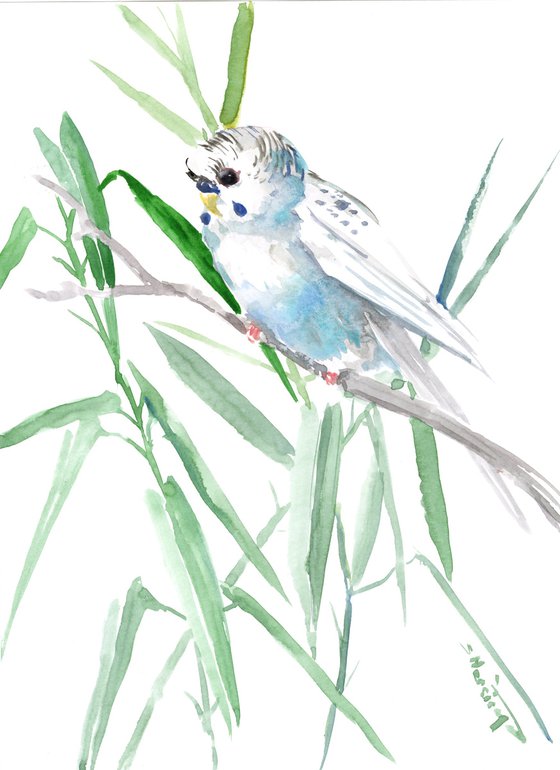 Budgie, Parakeet painting