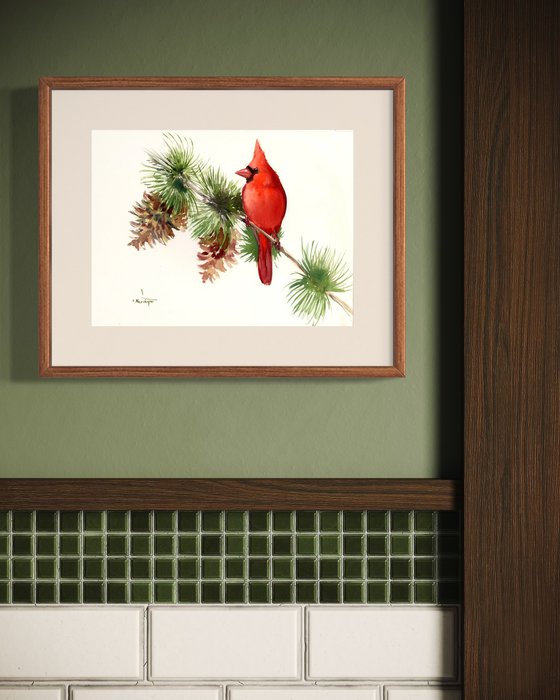 Cardinal Bird on Pine Tree