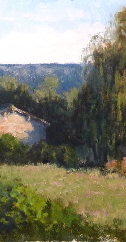 Weeping Willow and Shed by Pascal Giroud