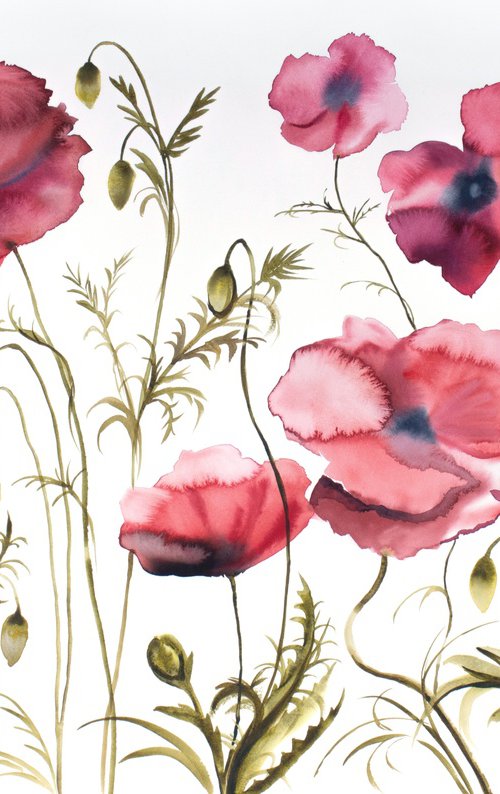 Poppies No. 5 by Elizabeth Becker