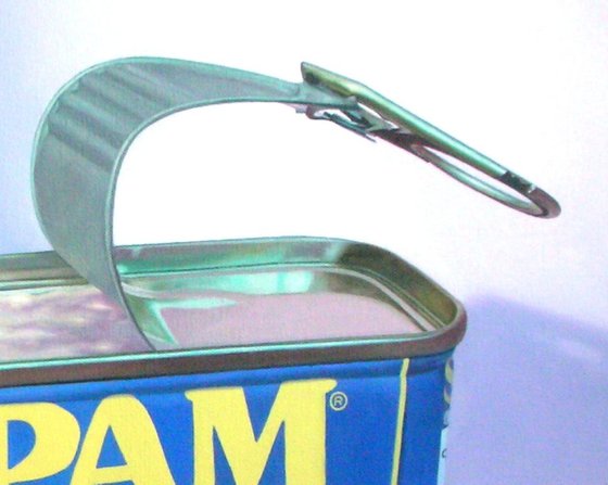 I Think therefore I'm SPAM!