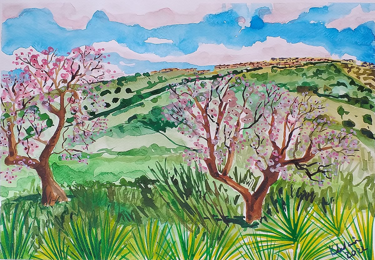 Almond blossom in Andalucia by Kirsty Wain