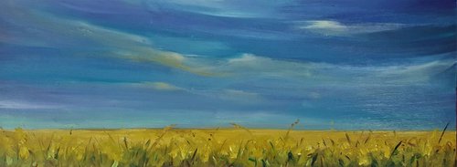 Yellow haze horizon  - summer fields and blue skies by Niki Purcell