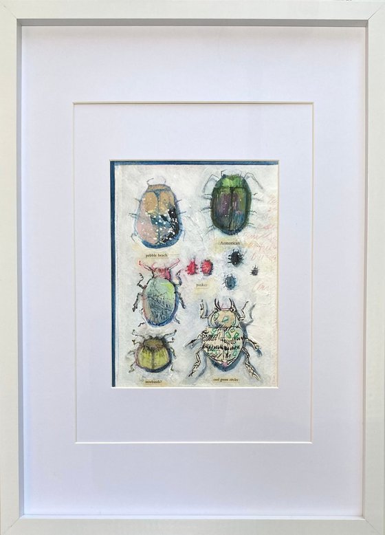 Bug Collection #08 - Framed mixed media abstract Beetle Painting