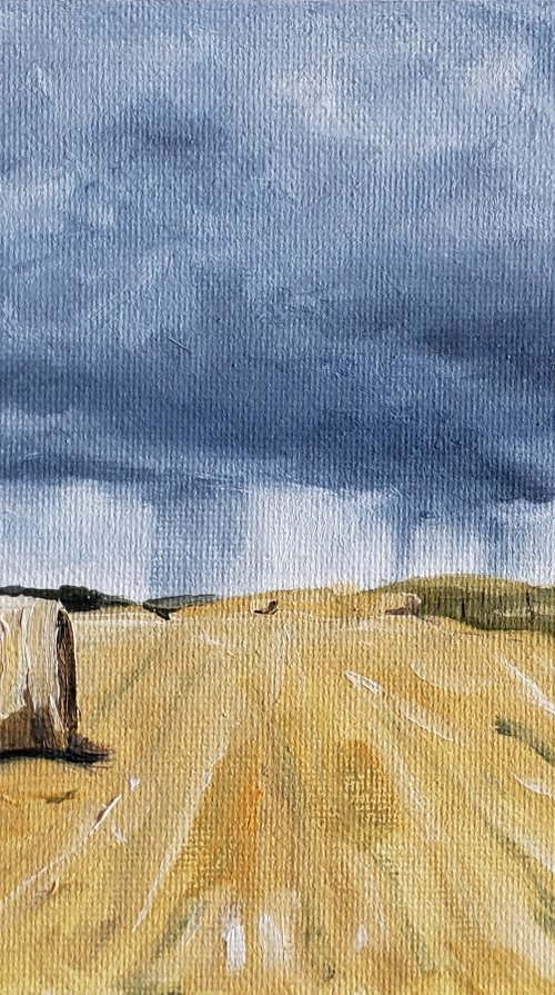 Summer Storms by Katrina Case