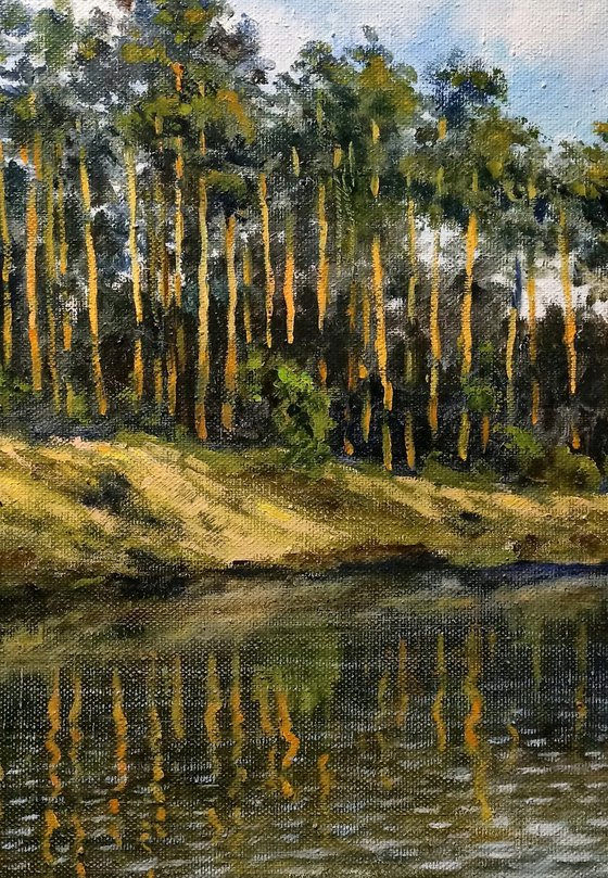 Pine trees by the river 2