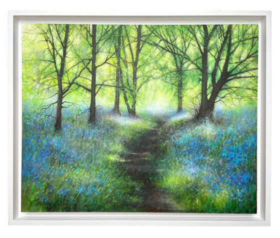 'In the Bluebell Light'