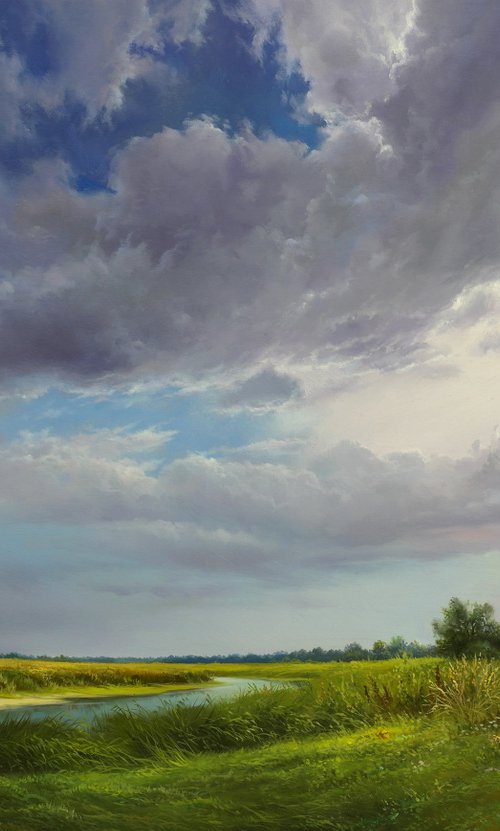 Before the storm. Summer day. by Eduard Zhaldak