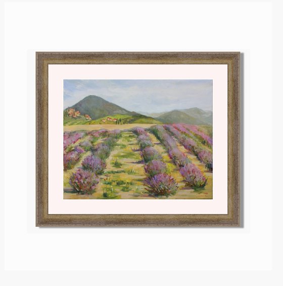 Lavender field