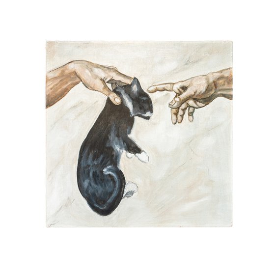 Creation of a Cat