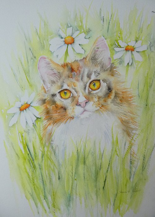 Summer Cat by Seonaid Parnell