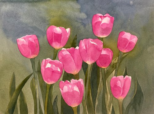 Pink Tulips by Silvie Wright