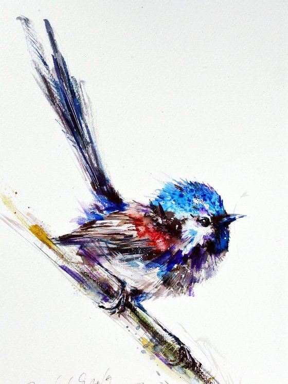 blue wren A3