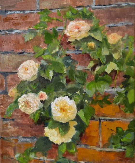 Yellow Roses on Weathered Red