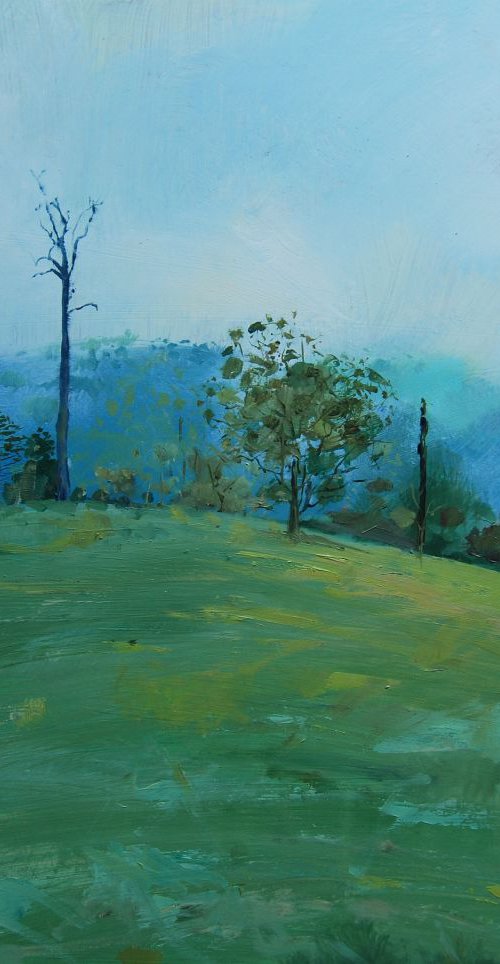 Lightning struck. Tamborine Mountain by Trevor Salisbury