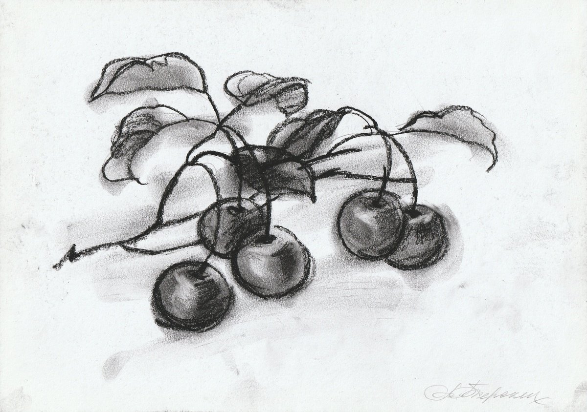Botanical Charcoal Drawing By Anastasia Terskih, 12 X 8, Cerasus, Original Artwork