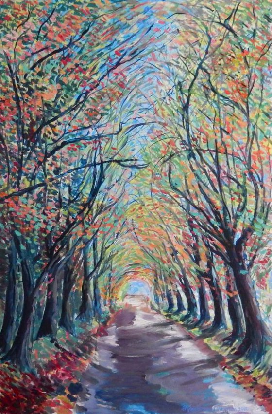 Avenue Of Trees Near Dunino, Fife