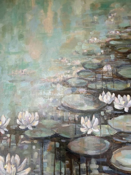Rain on Lily pond