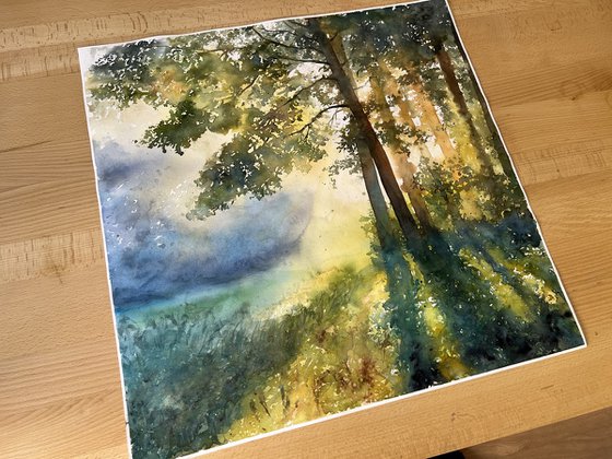 Golden Hour Shadows