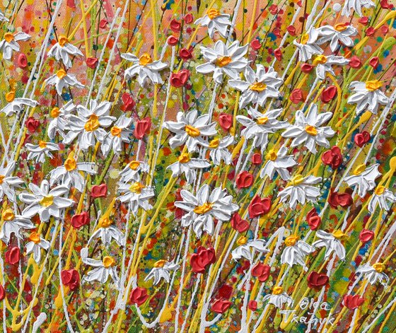 Daisies at Sunset