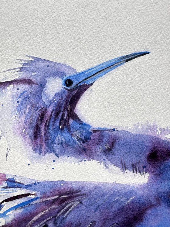 Birds: Blue Heron, Crane and Flamingo