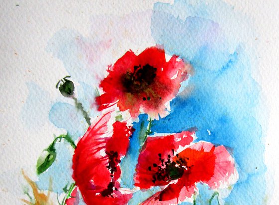 Red poppies II