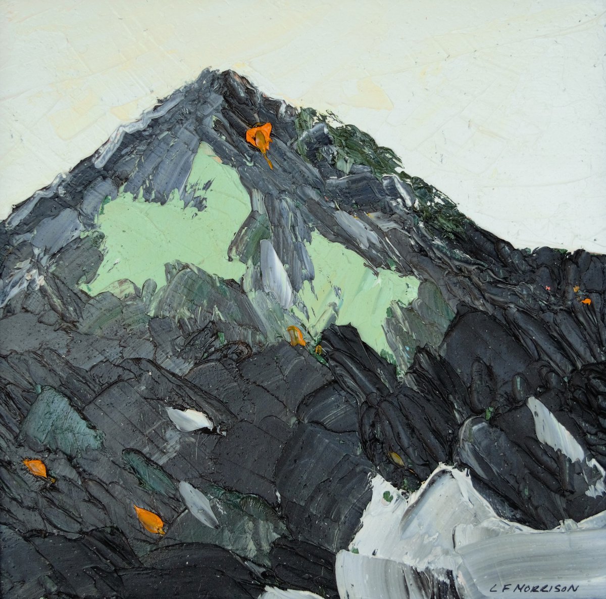 Dark Peak by Lucy Fiona Morrison