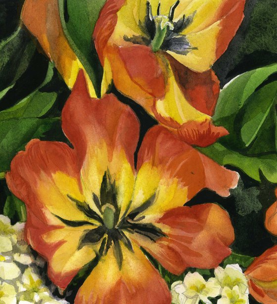 tulips with primrose