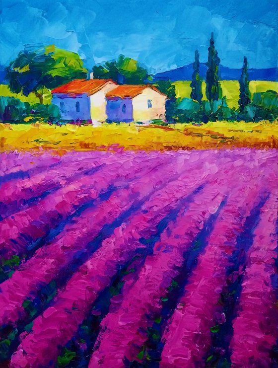 Provence 01