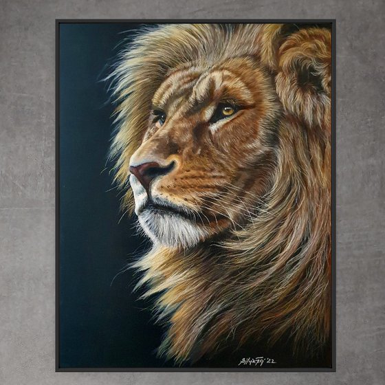 Wisdom - African Lion Portrait
