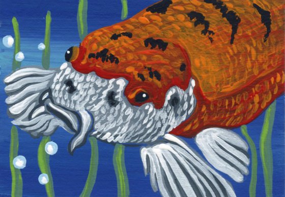 ACEO ATC Original Miniature Painting Koi Pond Goldfish Pet Art-Carla Smale