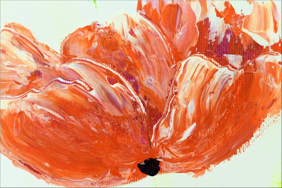 Crimson Breeze