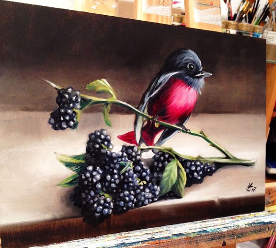 Some blackberries for the little bird