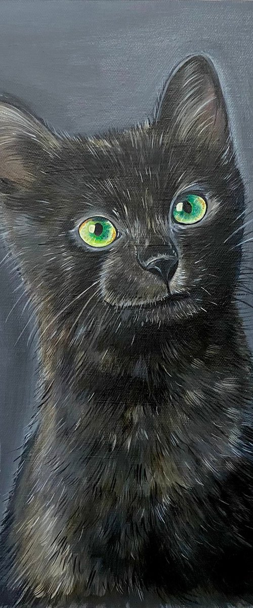 Midnight. Black cat on dark background painting by Bethany Taylor