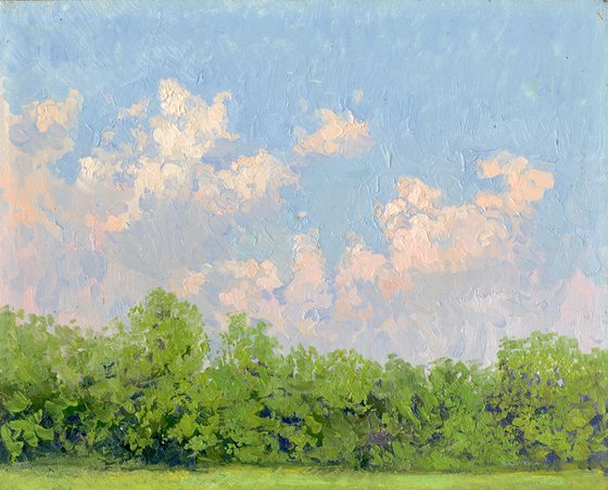 Clouds. Botanical Garden