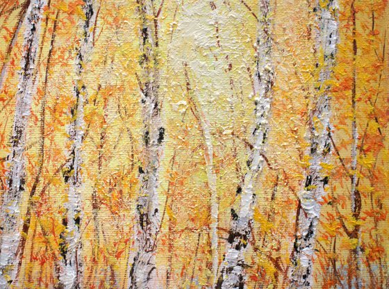 Autumn birch trees