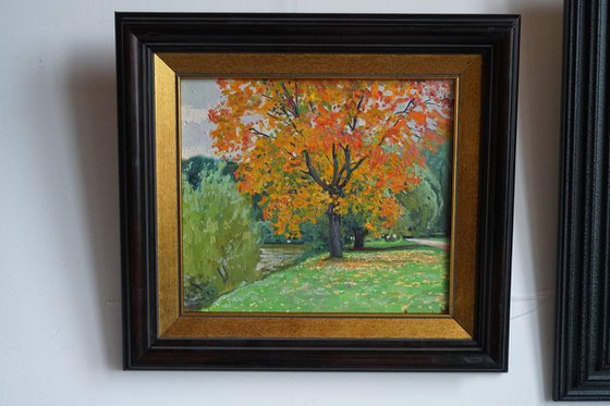 Autumn maple by the pond