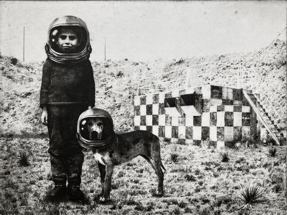 Terranaut I
