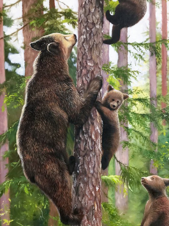 The bear-cubs are playing