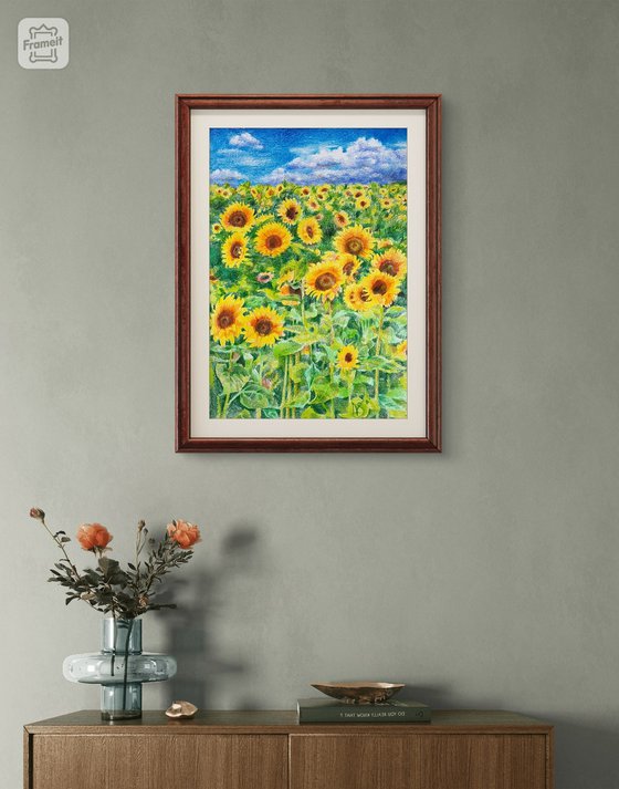 Yellow field of sunflowers