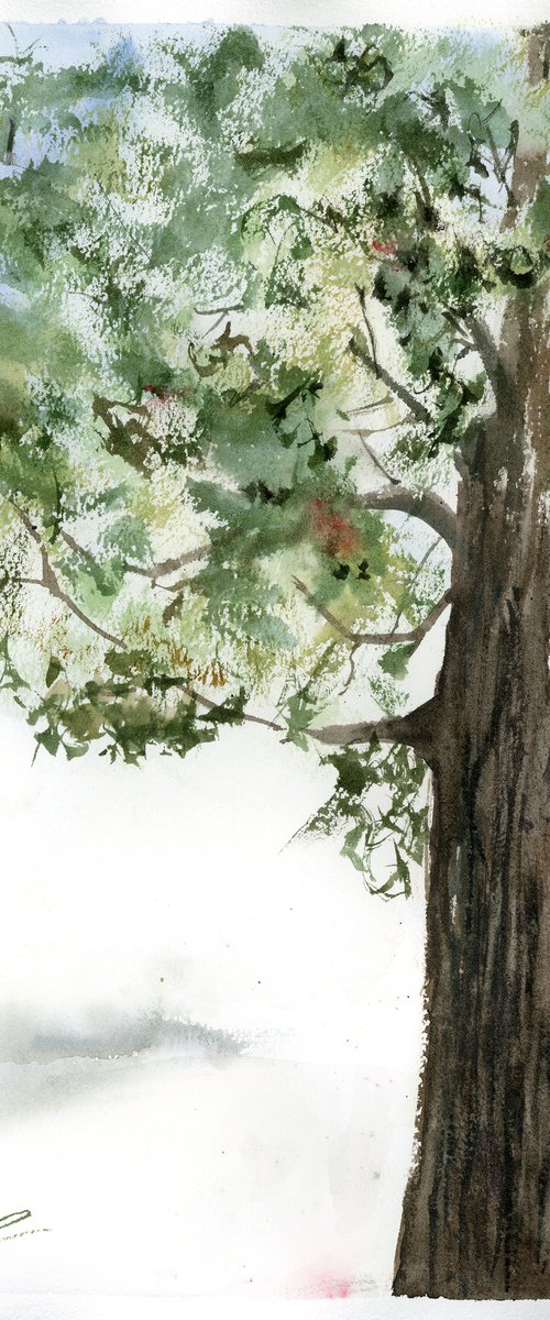 Tree 1 (1 of 2) by Olga Tchefranov (Shefranov)