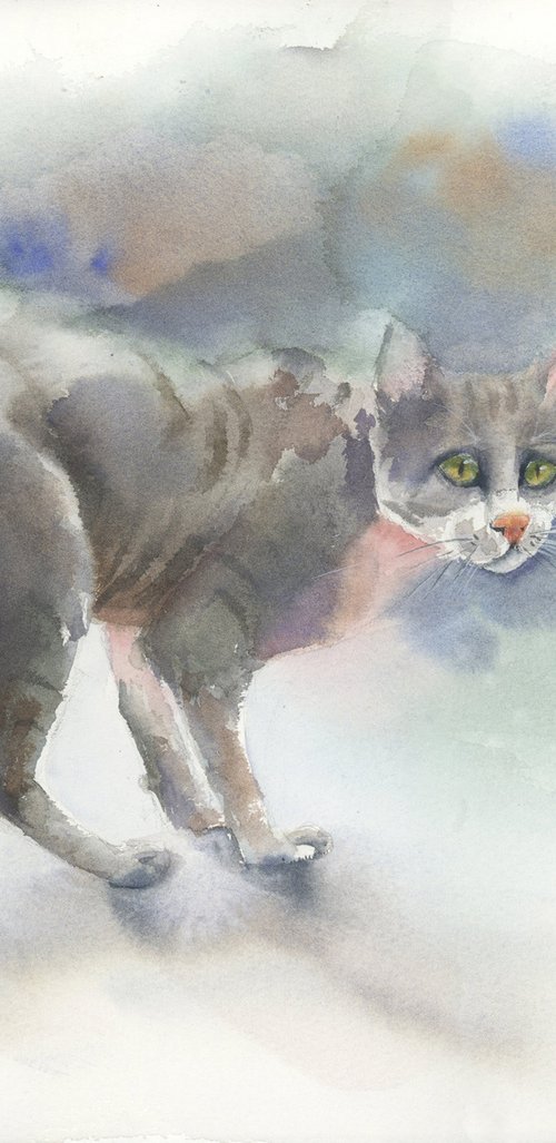 Cat by Olga Tchefranov (Shefranov)