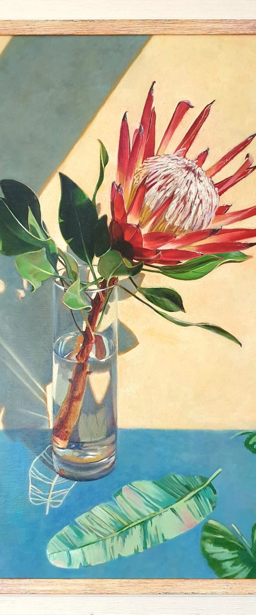"African rose."  still life summer Protea flower liGHt original painting  GIFT (2020) by Anna Bessonova (Kotelnik)